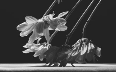 La Forma del Silencio – Una Oda a la Esperanza en el Desamor
