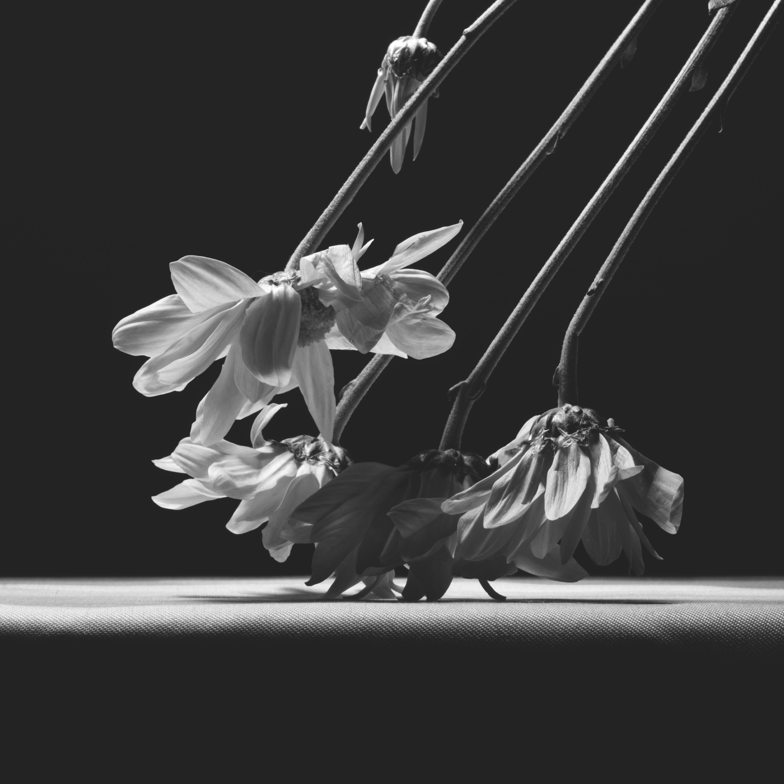 La Forma del Silencio – Una Oda a la Esperanza en el Desamor